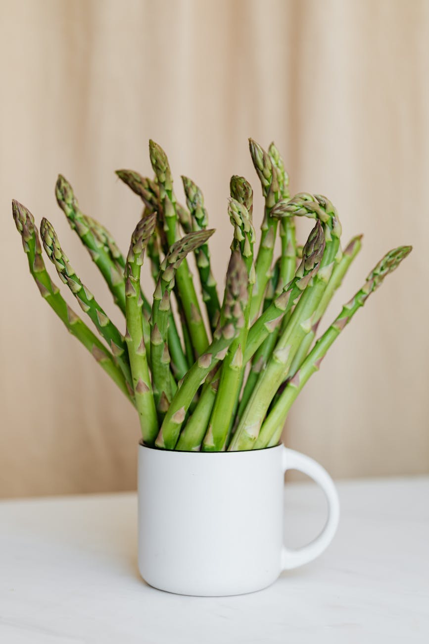 bouquet of fresh green stems in mug on table